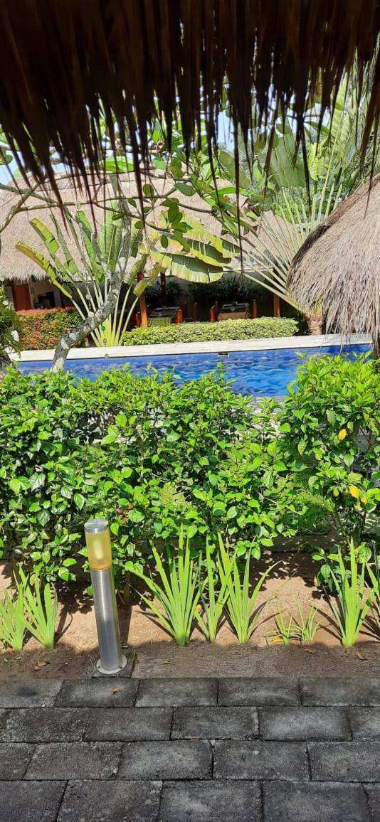 Mama Bella'S Retreat Bed & Breakfast Senggigi Dış mekan fotoğraf